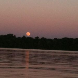 Meet your Posher, Hailey